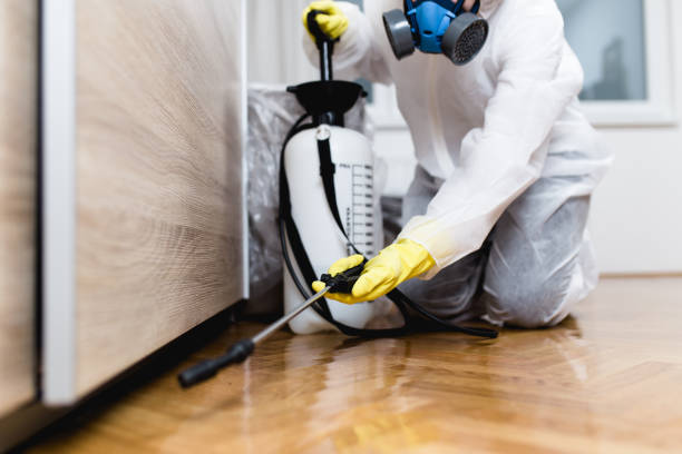Best Bed Bug Extermination  in Palmetto Estates, FL