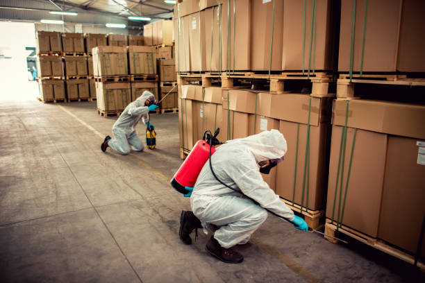 Best Affordable Pest Control Services  in Palmetto Estates, FL