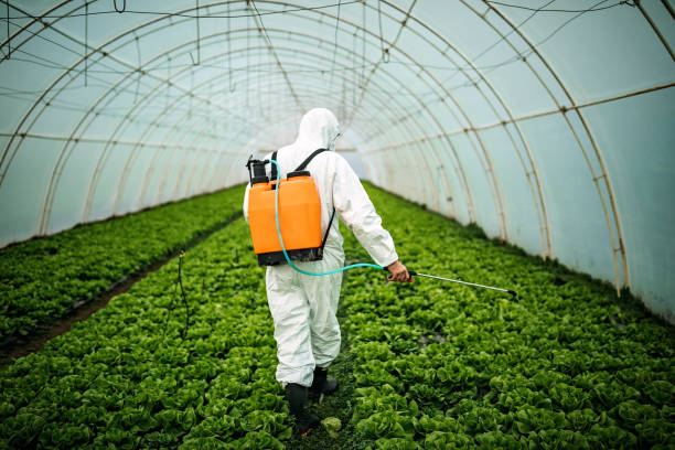 Best Best Pest Control Companies  in Palmetto Estates, FL