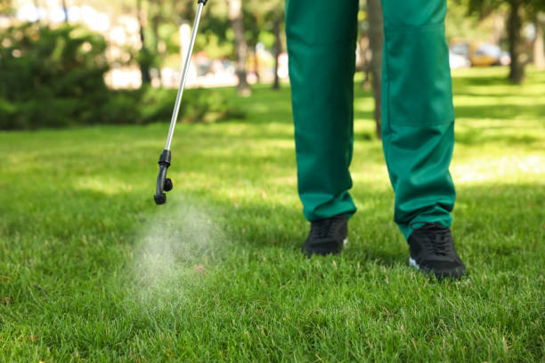 Best Local Pest Control Services  in Palmetto Estates, FL
