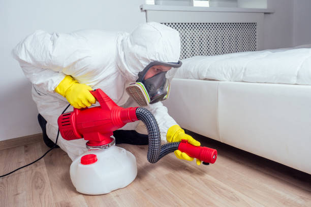 Best Pest Control Near Me  in Palmetto Estates, FL