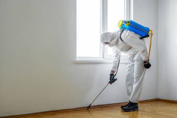 Pest Control Cost in Palmetto Estates, FL