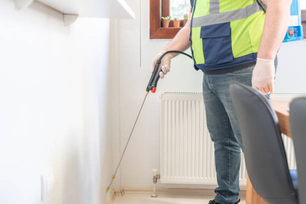 Flea Control Services in Palmetto Estates, FL