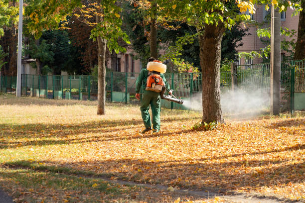 Best Flea Control Services  in Palmetto Estates, FL