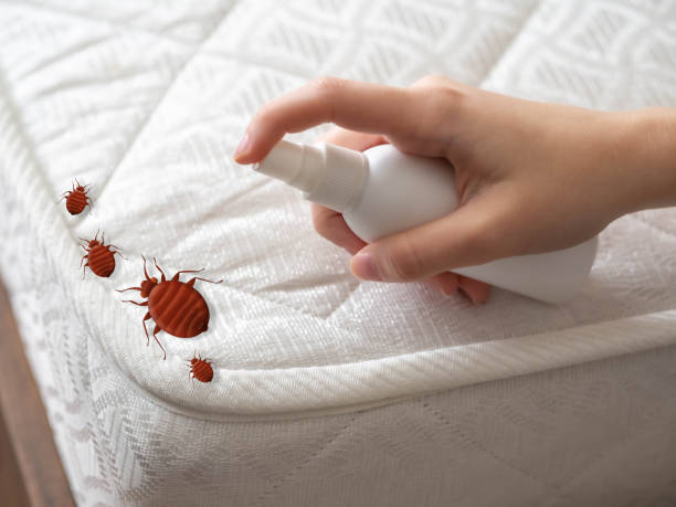 Best Pest Prevention Services  in Palmetto Estates, FL